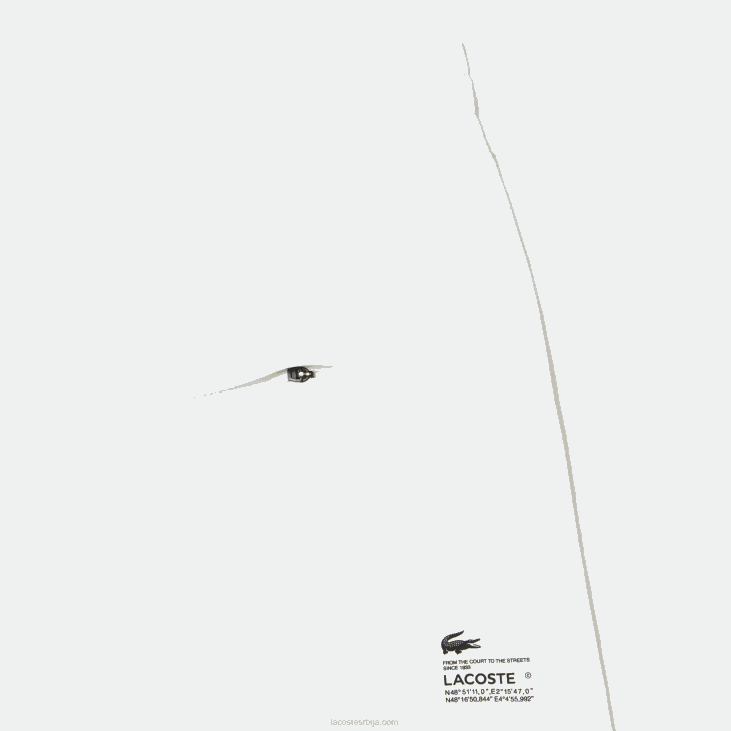 Жене обичне кратке хлаче 86882445 бела 001 Lacoste