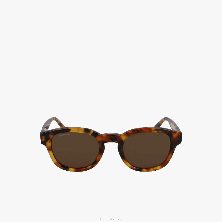 мушкарци овалне биоацетатне наочаре за сунце Натионал Геограпхиц 86882317 Хавана брн 214 Lacoste