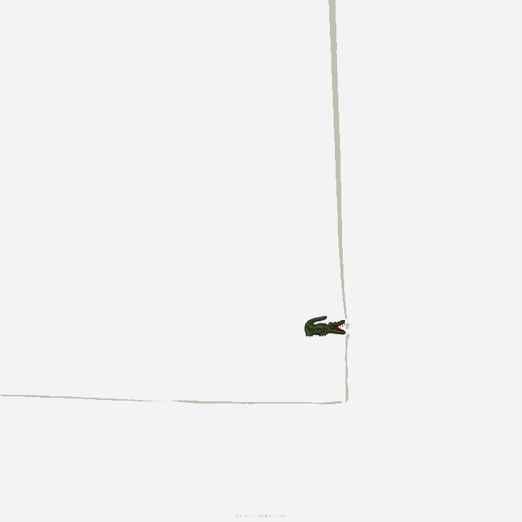 мушкарци памучни мини-пике поло 8688101 бела 001 Lacoste