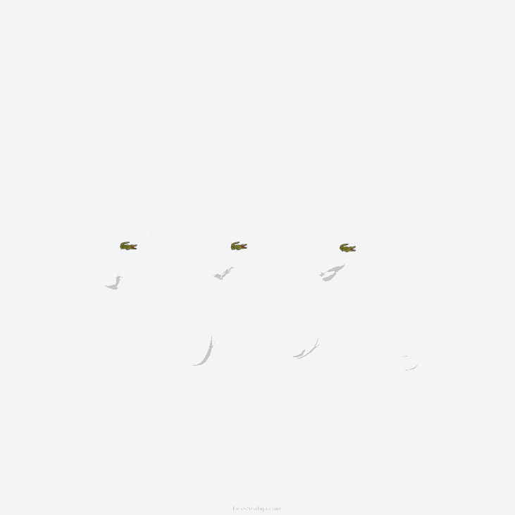 мушкарци спортске деколтиране чарапе 3 ком 8688511 бела з92 Lacoste