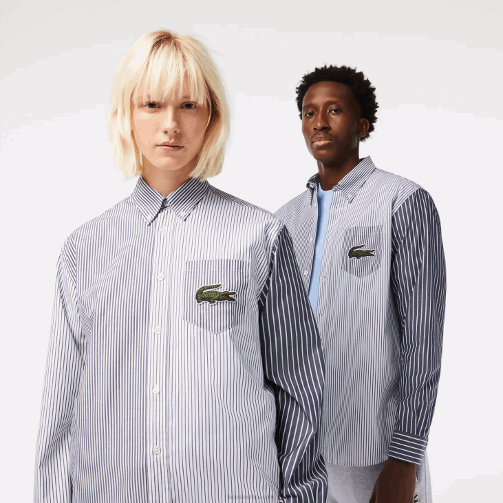 мушкарци велика памучна кошуља на крокодилске пруге 8688493 бела тамноплава 522 Lacoste