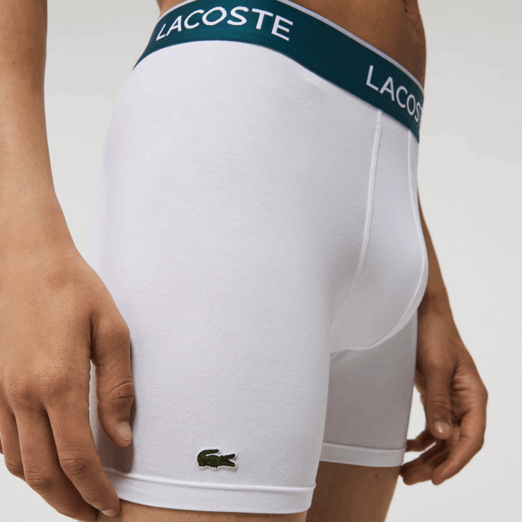 мушкарци дуге памучне гаћице од 3 ком 86881405 бела 001 Lacoste
