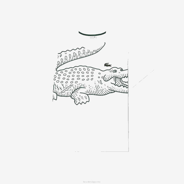 мушкарци слободна мајица од дреса - плус сизе - велика 8688227 бела 001 Lacoste