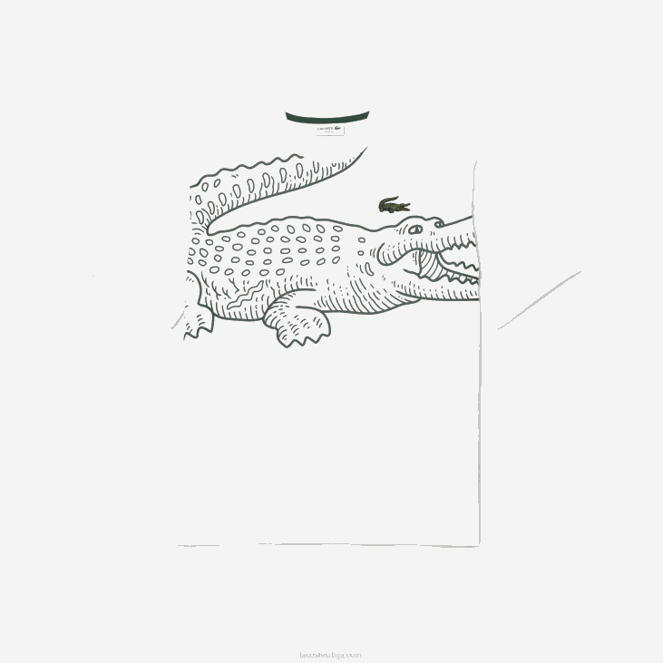 мушкарци слободна мајица са крокодилским принтом са округлим изрезом 8688254 бела 001 Lacoste