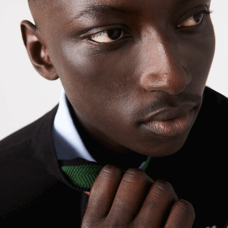 мушкарци џемпер са округлим изрезом од органског памука 86881450 црна 031 Lacoste